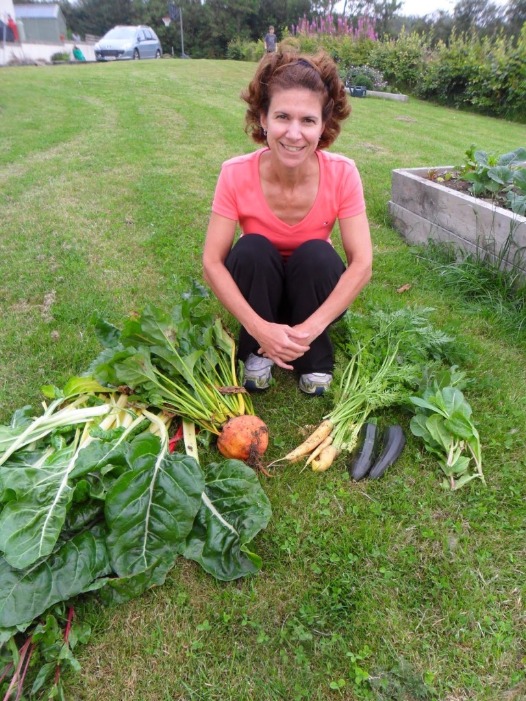 Fall Harvest Picture