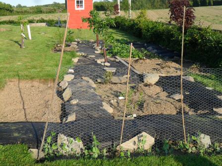 One view of the garden.