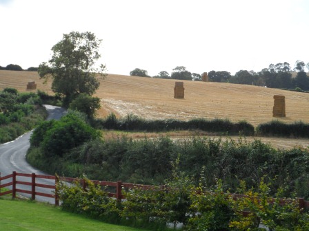 Fall harvest time in Sheepwalk.