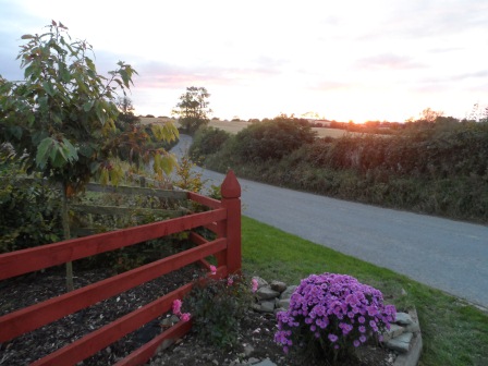 The front gate at sunset. 