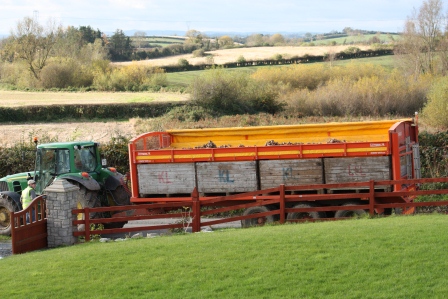 A truck load of spuds!