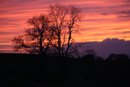 A beautiful end to a lovely day. A beautiful end to a lovely day.