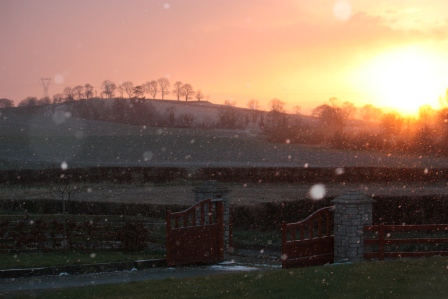 Snow does funny things to the lens...