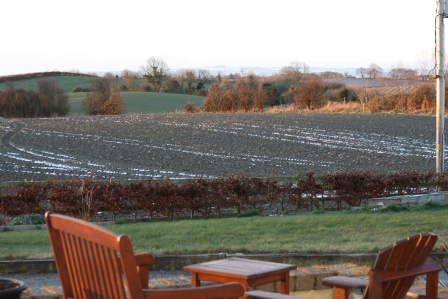 Early the next morning. You can see the sun starting to shine on the back fields.