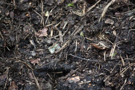 Close-up look today (May) from starting in  February.