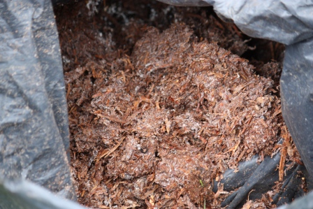 A bag of mushroom compost.