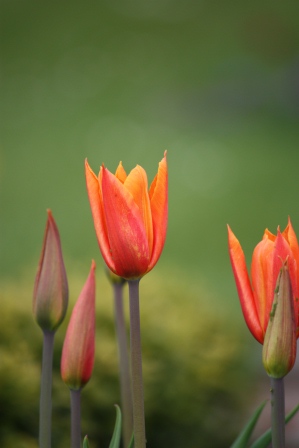 Oops! What's this color doing here?