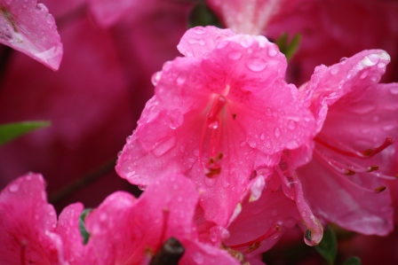 We had some rain, too.