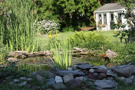 Judi and Lennie have created something so peaceful and beautiful in their back yard!