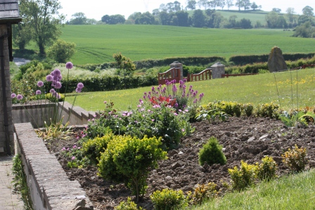 Another view of the purple garden.