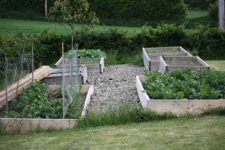 Vegetable beds in June.