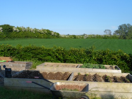 A view of the back field.
