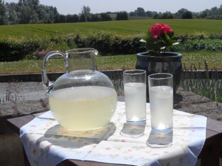 A cool drink of lemonade.