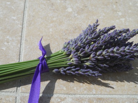 Tie up a bunch of between 21 and 23 stems.