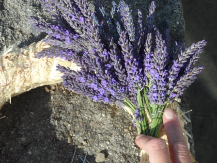 Floral pins to attach the bunches.