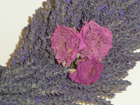 Some dried roses from the garden.