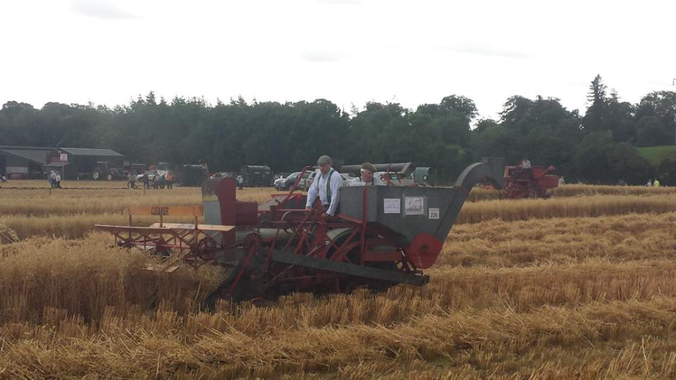 At the Moynalty Steam Threshing