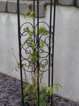 My obelisk a few months ago.