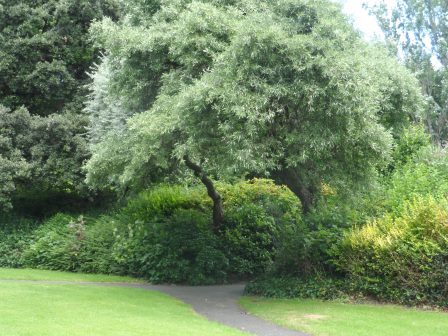 This path leads to the W.B. Yeats memorial.  Careful or you'll miss it!