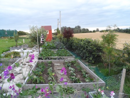 View of the garden in August.