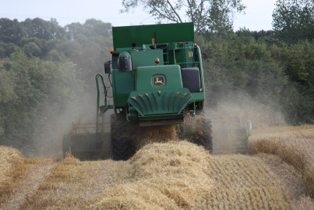 Neat rows of straw are left behind after harvesting the barley.