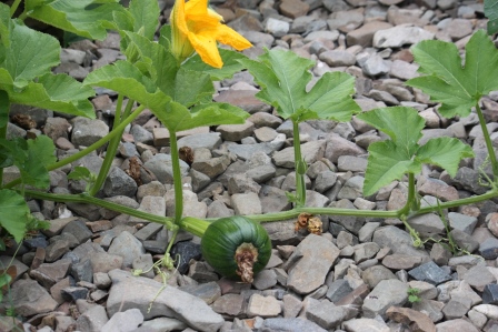 A long, long time ago...