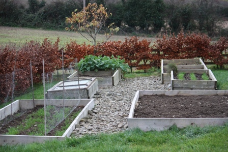 The front bed on left (with the chicken wire) and middle bed on the right have rye growing already.