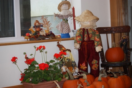 Fall harvest with quite a few pumpkins