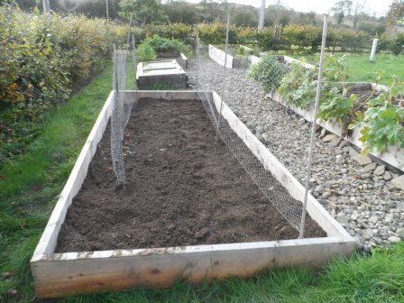 One of the beds after digging up the soil and planting rye.