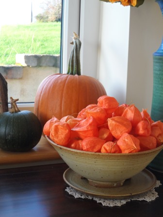 Chinese Lantern Flower