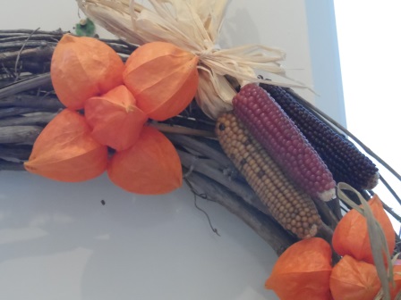 Chinese Lantern Flower: Physalis Alkekengi