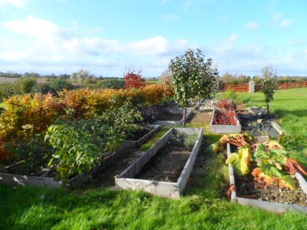 November look at the garden.