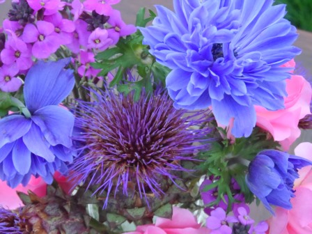 Artichokes, Mr. Fokker anemone, Erysimum (bowles' mauve), and pink roses