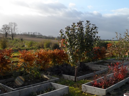 Look how the sunlight completely changes this picture!