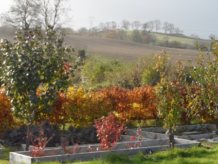 Capturing the changing colors.