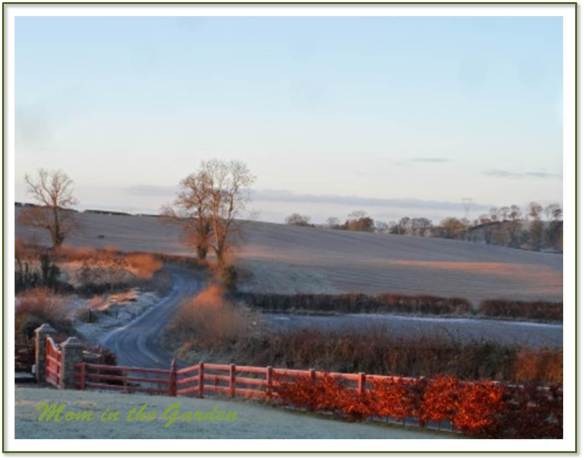 The view from our front yard