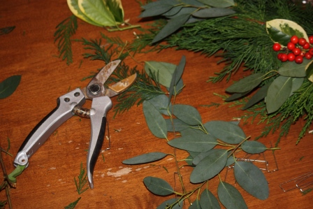 Garden shears, eucalyptus, holly, and evergreens.