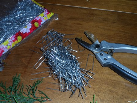 Floral pins and garden sheers