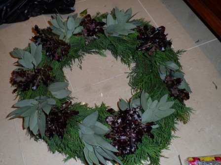 Eucalyptus added with the pittosporum