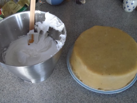 Marzipan covered fruit cake