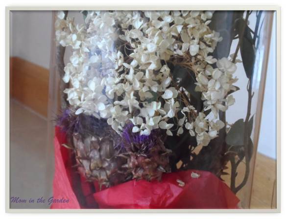 close up of two artichokes with their purple color