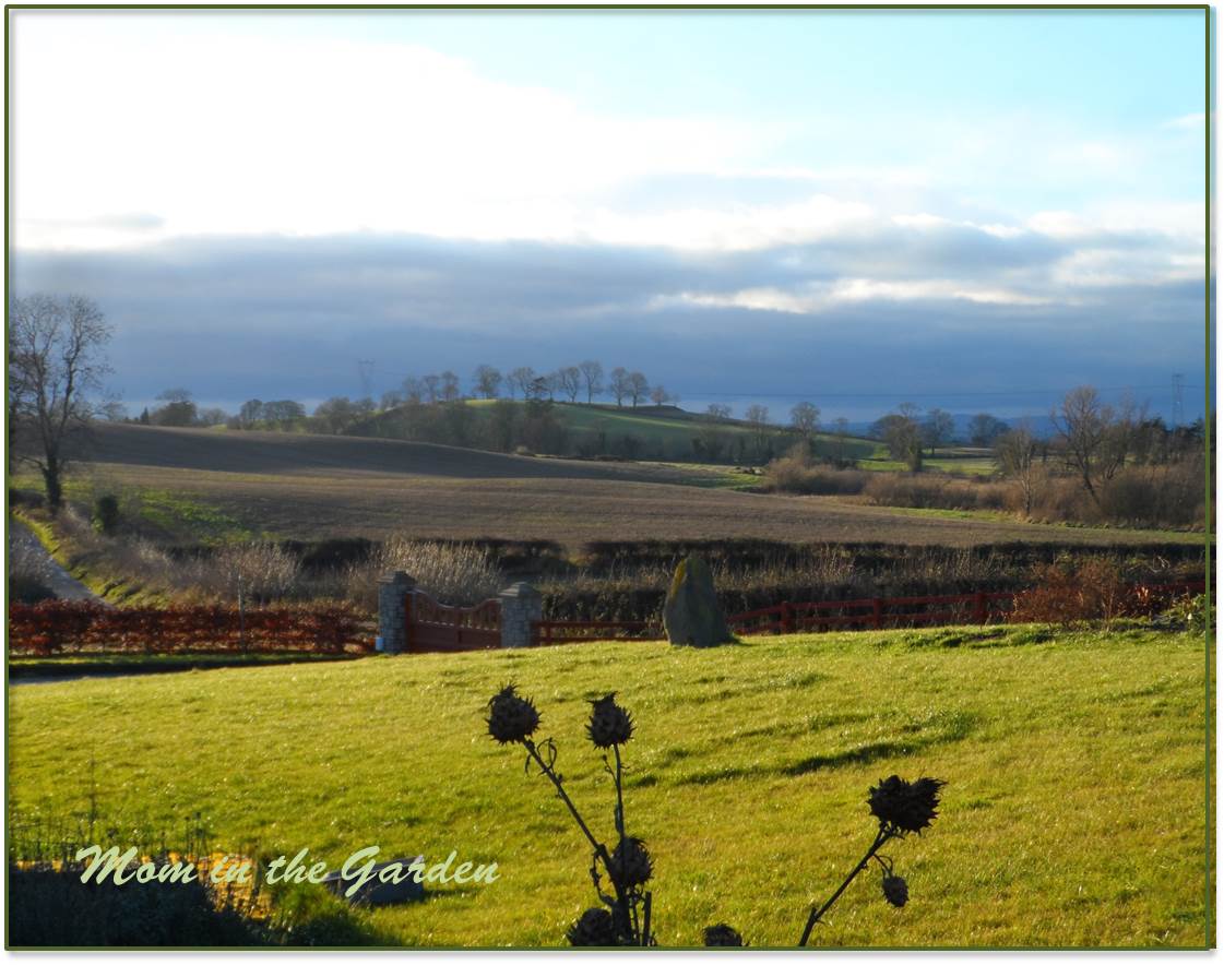 Evening view from the front yard