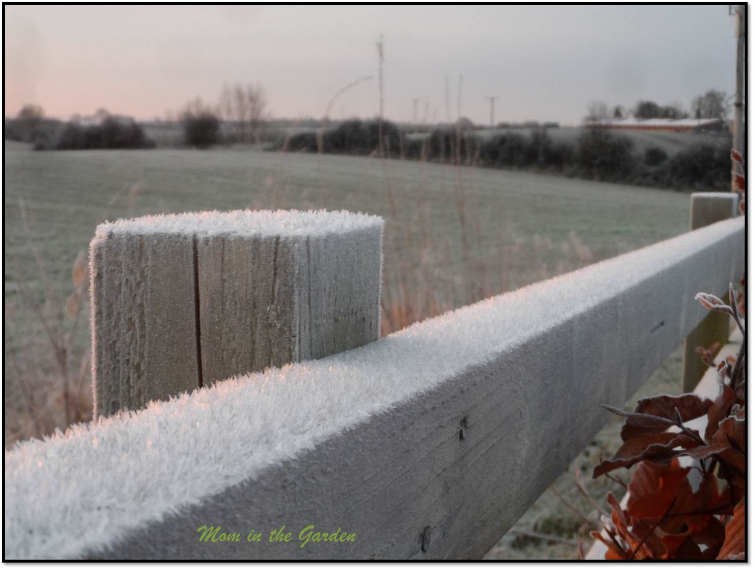 This close-up of the crystals is my favorite