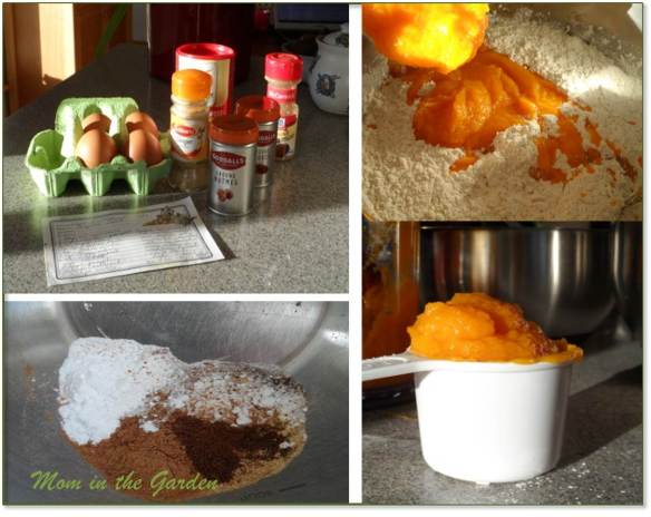 Baking pumpkin bread on a sunny day