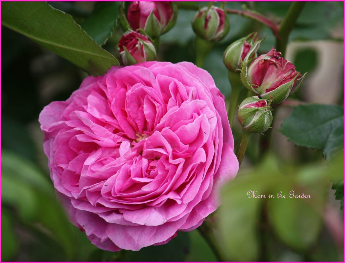 Quick, take some pictures while still looking good!