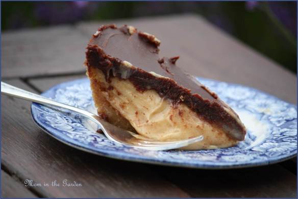 Chocolate Peanut Butter Pie