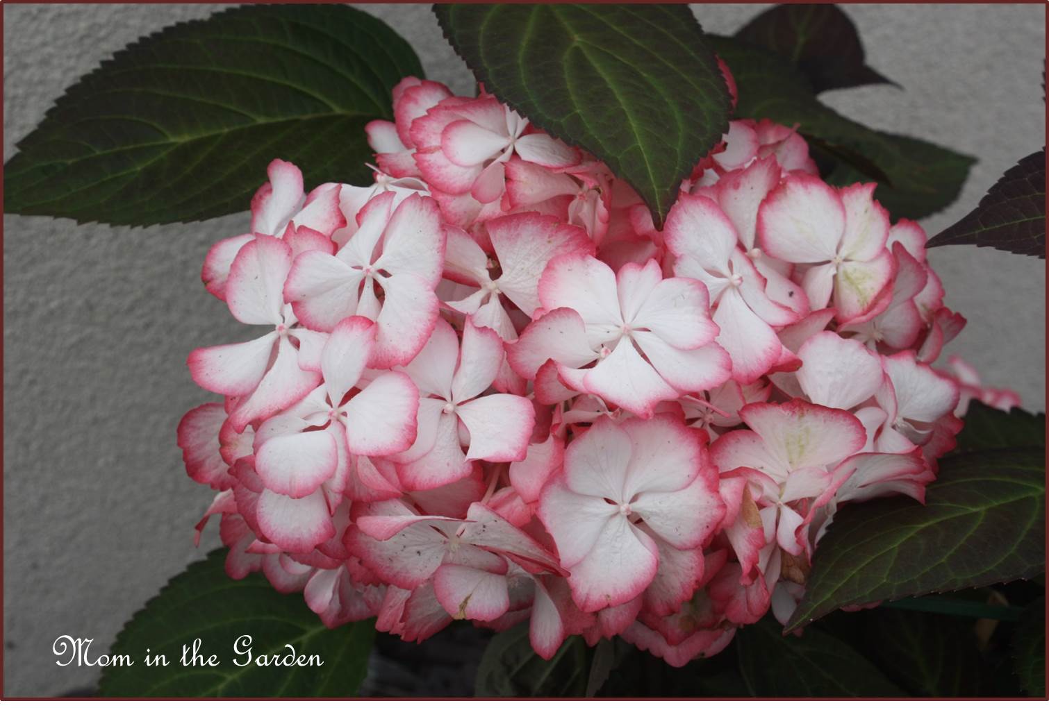 This is what it looked like when I bought it in August 2010