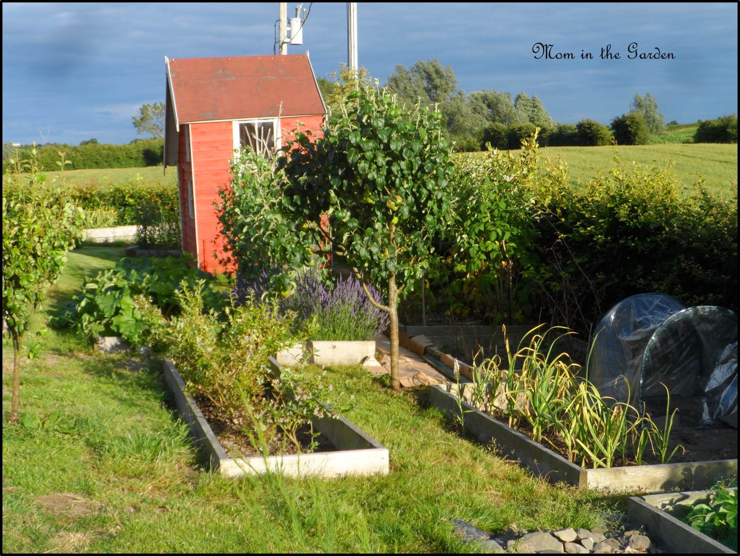 A sunny evening with dark clouds in the background