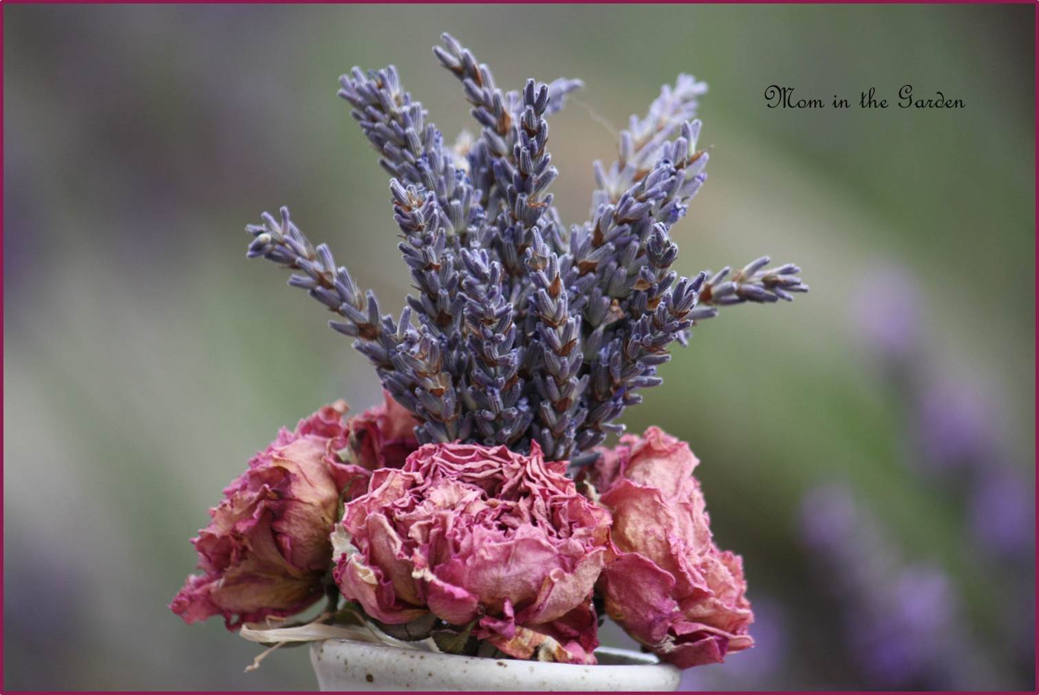 dried lavender & dried roses