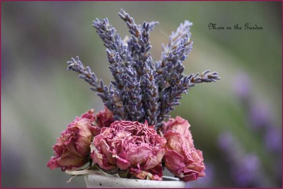 dried lavender & dried roses